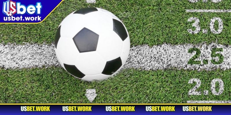 Nhập môn đọc kèo bóng đá chỉ dẫn cho người mới