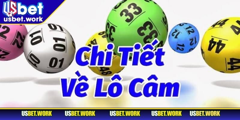 Lô Đầu Câm USBET - Cách Chọn Số Chuẩn Và Nhanh Chóng Tìm hiểu nhiều hơn thông tin về lô đầu cầm